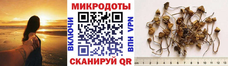 Псилоцибиновые грибы мухоморы Краснообск