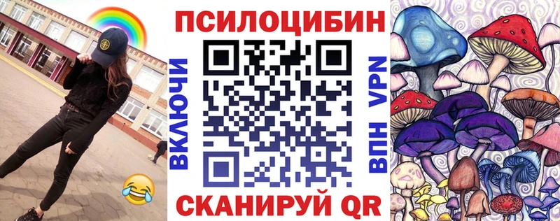 как найти наркотики Краснообск Галлюциногенные грибы Psilocybine cubensis